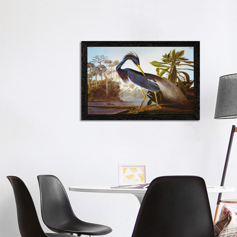 Louisiana Heron From "Birds Of America" by John Audubon - Painting on Canvas, 66.04 cm H x 45.72 cm W, Black Framed