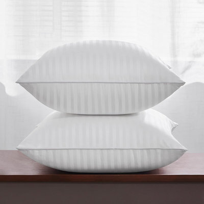 18 X 18 Throw Pillow Inserts, Firm And Fluffy Decorative Square Pillows For Couch Bed Sofa With Soft Cotton Cover White Cushion With Down Alternative Pack Of 2