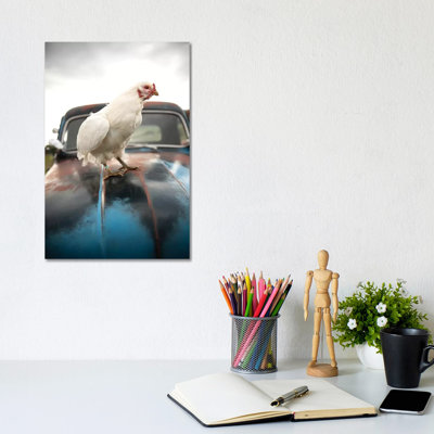 Storm Chicken - Wrapped Canvas Print