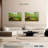 Roman Garden Snail-1530417731