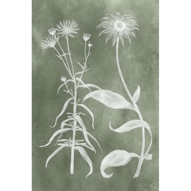 " Sage Impressions IV " by Vision Studio, 18" H x 12" W  