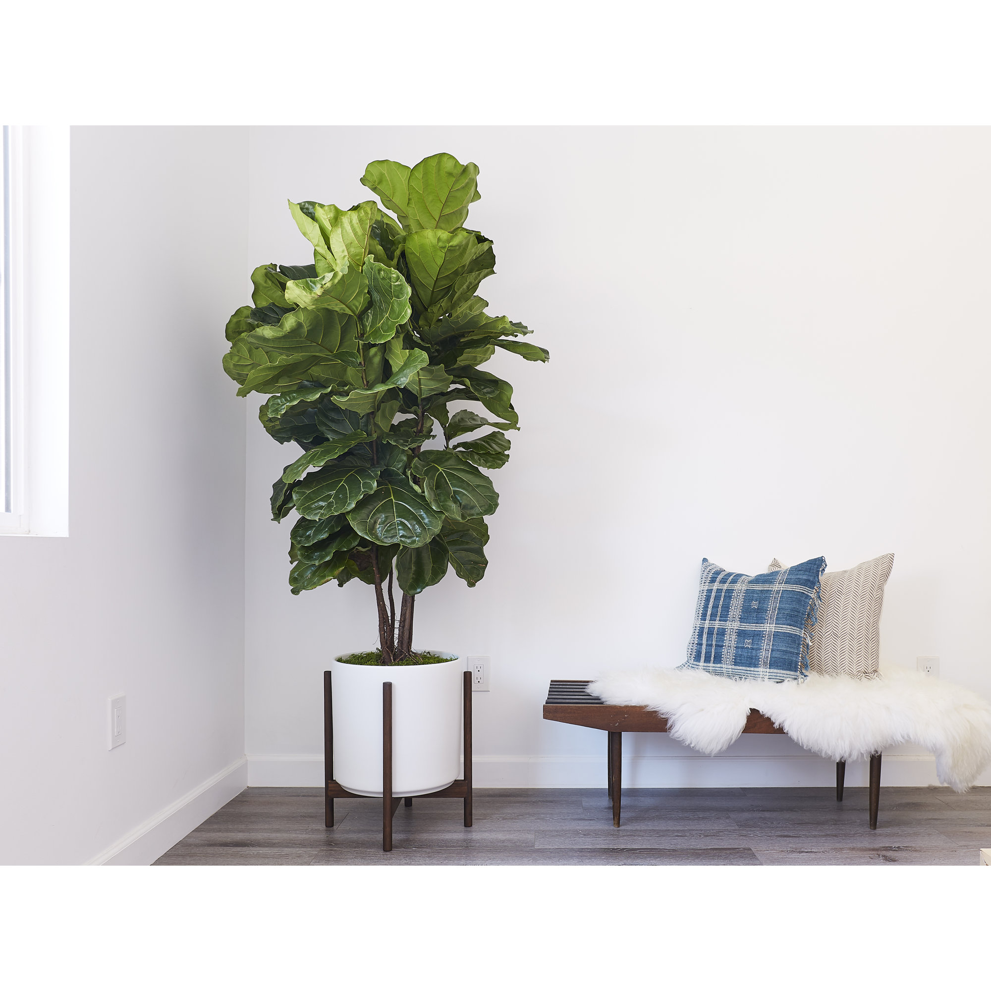Riverside Handmade Ceramic Pot Planter, White/Darkened Teak, 20.25" H x 17.5" W x 17.5" D