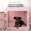 PAWD® | Modern Dog & Pet Crate - Caisse pliable pour chiens-1414941549-1414941545