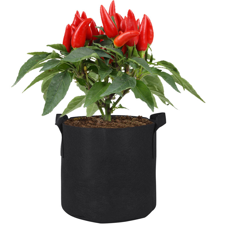 Pot de 10 pièces en plastique Anielka, H 9,8 po x l 11,8 po x P 11,8 po