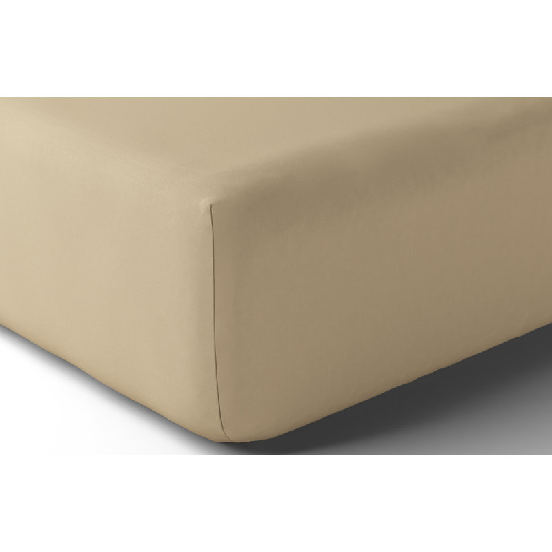Vexin 100% Cotton Percale Fitted Sheet, King, Grege