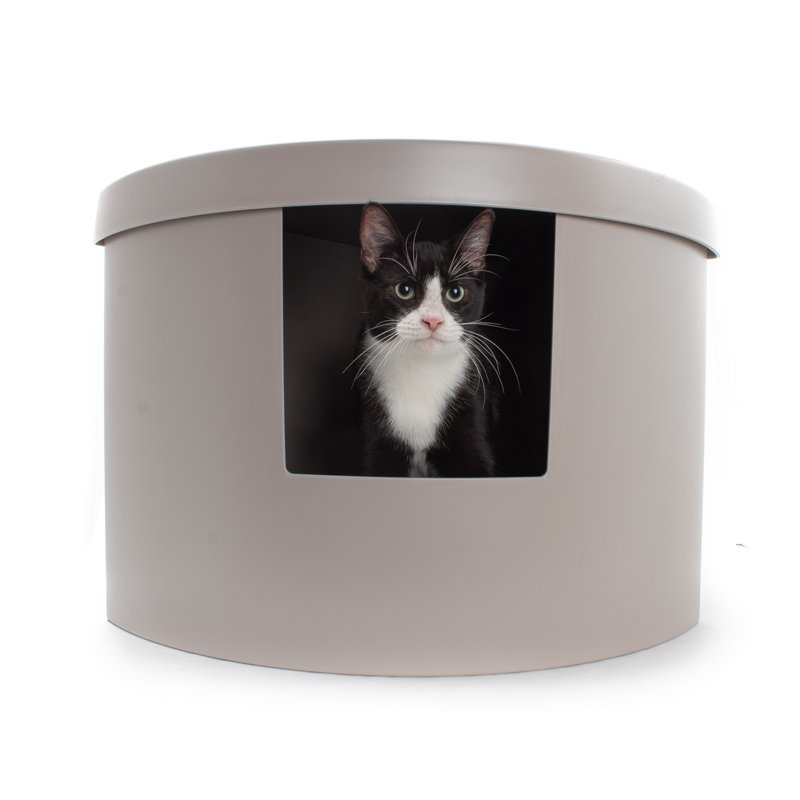 Plastic Enclosed Litter Box, 16.5" H x 25" W x 17.5" D, Blue