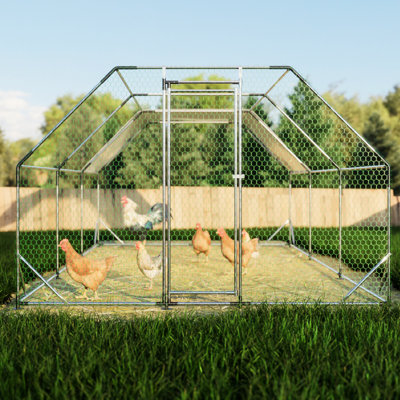 10 pi X 20 pi. Cage à poulailler en métal galvanisé avec rouille - caractéristique pour poulailler de ferme 10 pi 20 Revêtement et structure