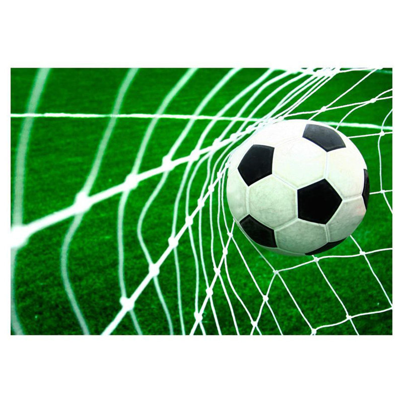 Goal! 8'' L x 76" W Wall Mural, 96" L x 137" W