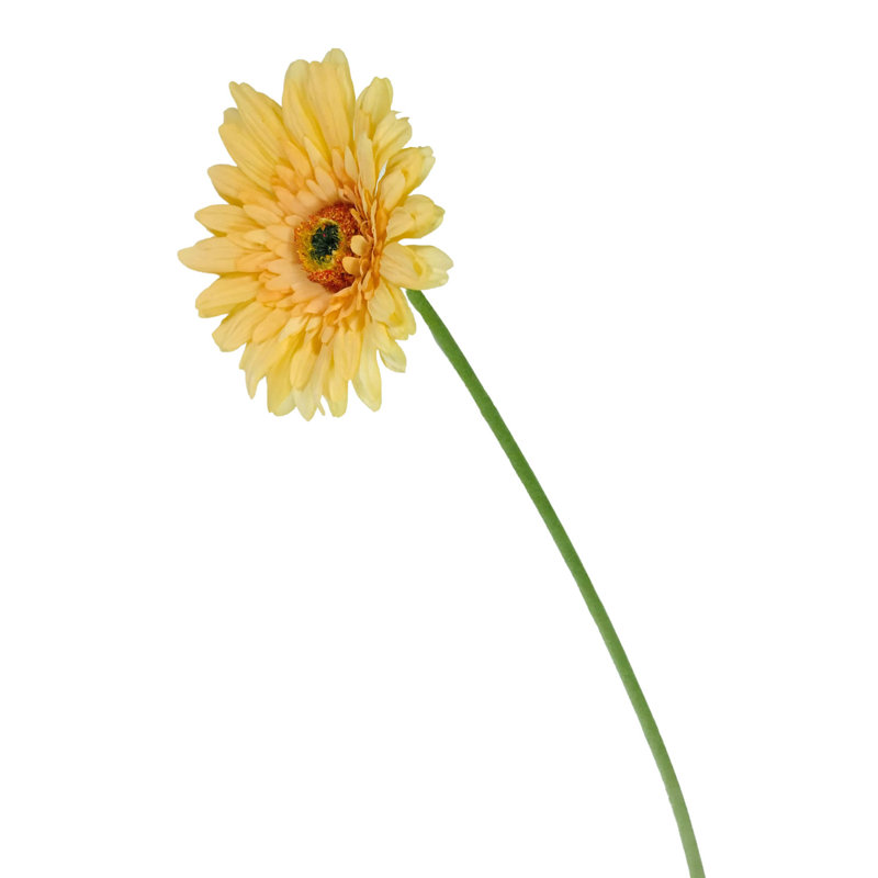 Arrangement, Yellow