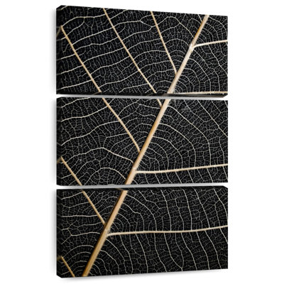 Harnek Leaf Veins