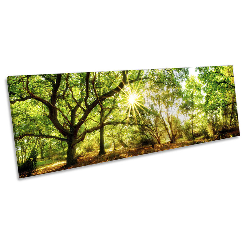 Forest Landscape Sunlight - Wrapped Canvas Panoramic Print, 45.72cm H x 137.16cm W