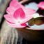 Zen Bowl - reproduction de photo sur toile tendue-21488072-71996519-72009573