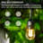 Amruth 15.1M 32 - Bulb Standard String Light (End to End Connectable)