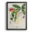 Imperial Tropical Botanical II, reproduction d'art encadrée-88436366-88436369