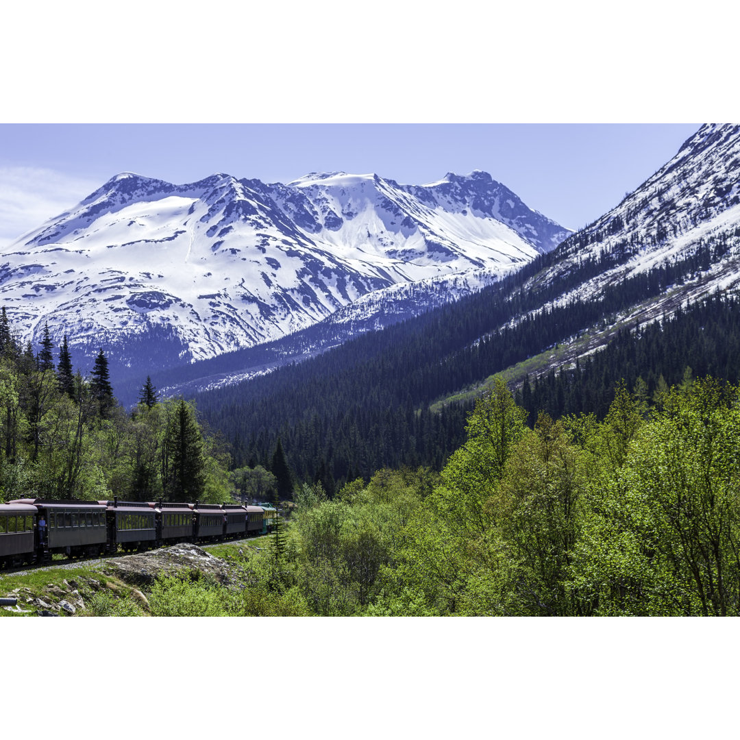 Tourist Train Returning From The Canadian Border by VisionsbyAtlee - Leinwandbild