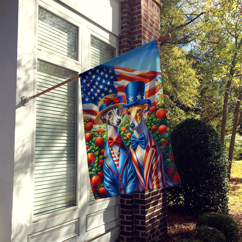 Drapeau «All American House», Lévrier italien