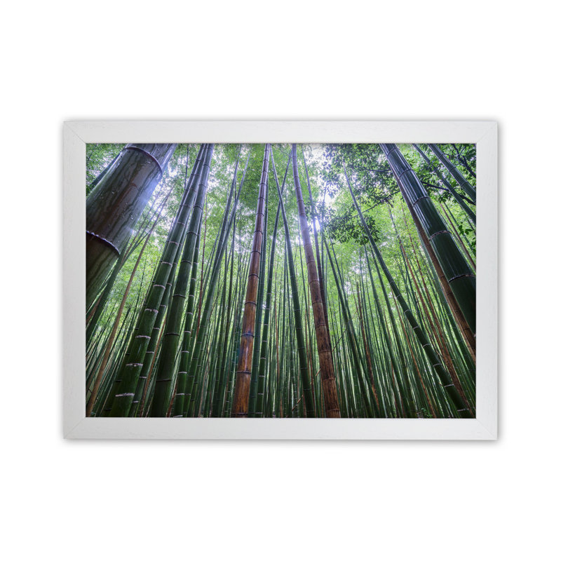 Tall by Karsten Wrobel - Print on Canvas, White Framed, 25cm H x 34cm W x 3cm D