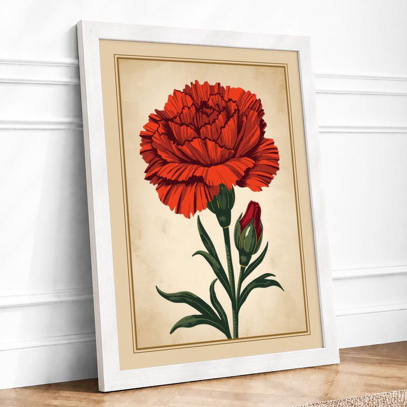 Crimson Carnation Study Botanical - Framed Print, A2 - 59.4 x 42.0 cm, White