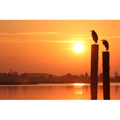 Herons At Sunrise by Maxvis - Wrapped Canvas Print