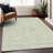 Machine Washable Indoor/Outdoor Chayden ACN1058 Rug-1329732342