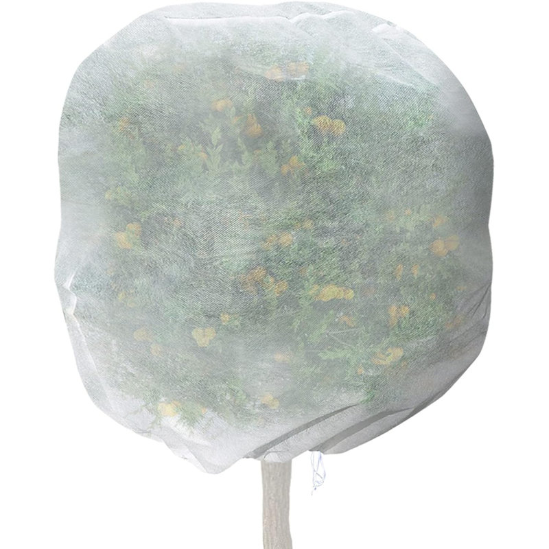 Housse pour plantes à valeur chaude Quarles, H 120 po x l 93 po x P 2 po