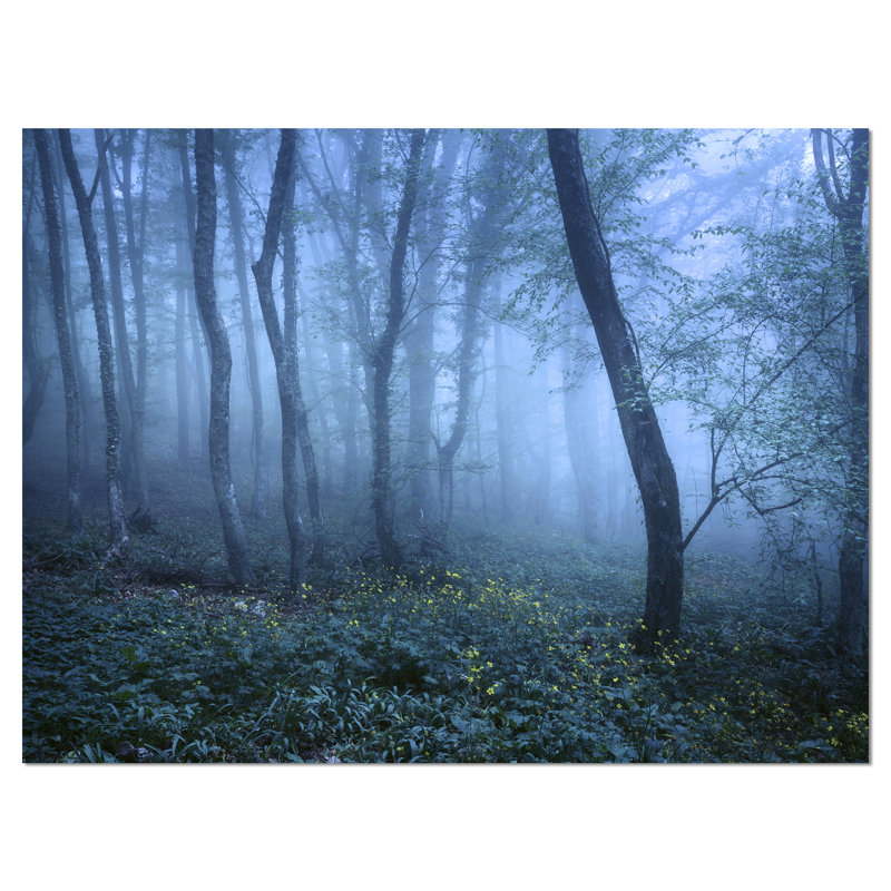 « trail through blue automne forest », reproduction de photo sur toile tendue, H 20 po x l 20 po x P 1 po