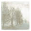 Mystic Morning II Print by Mari Urasawa-26773612-26773613