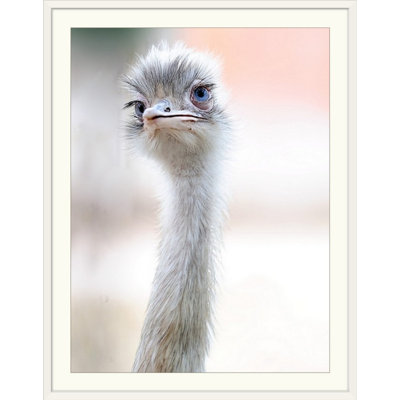 1x Photography Natural Beauty by Fulvio Pellegrini - Print