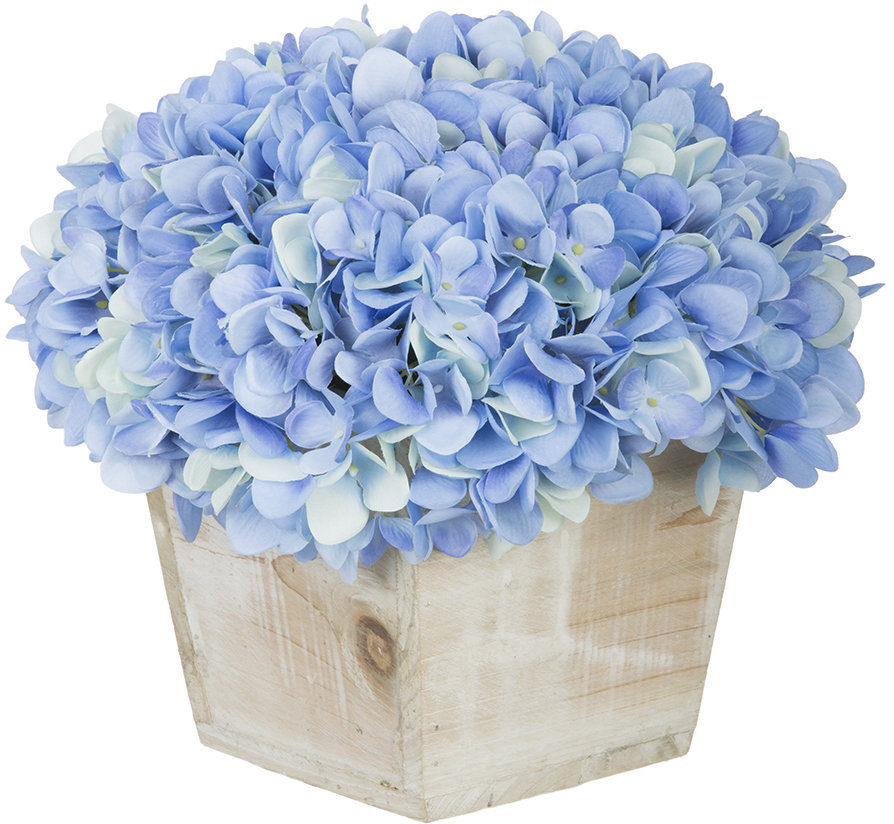 Hydrangea Arrangement in Planter Ophelia & Co. Color: Blue
