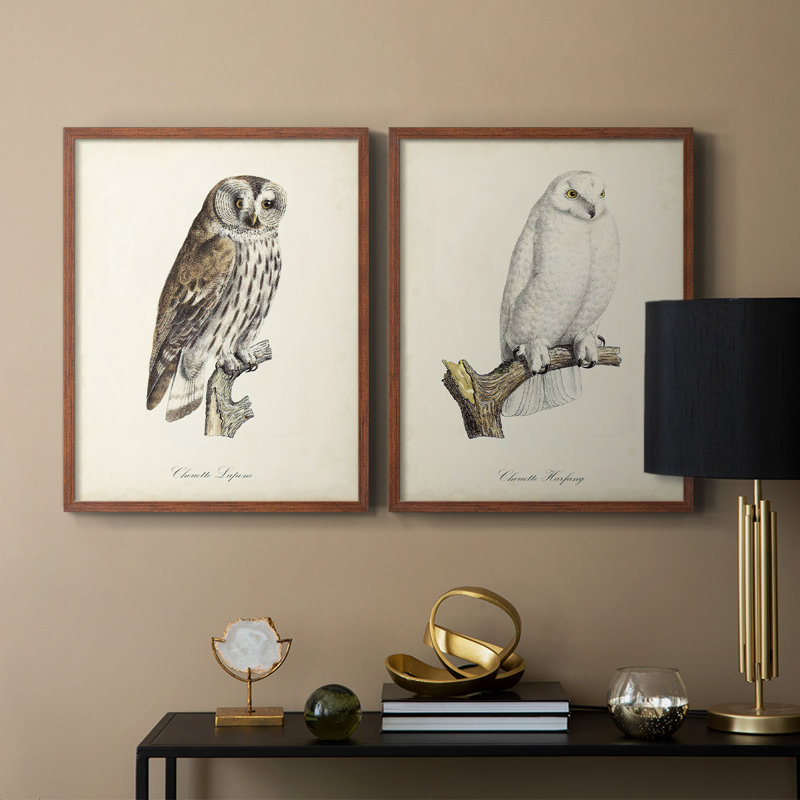 French Owls III - reproduction encadrée de qualité supérieure - prête à être accrochée - aucun clou requis - aucun clou requis