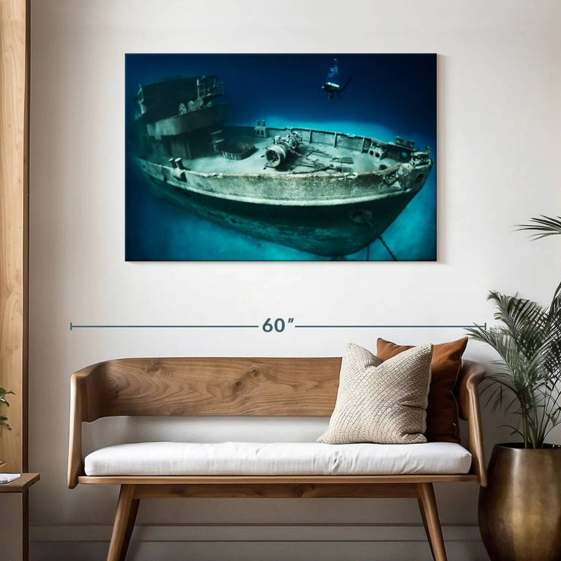 Senne Kittiwake Shipwreck, 30" H x 45" W