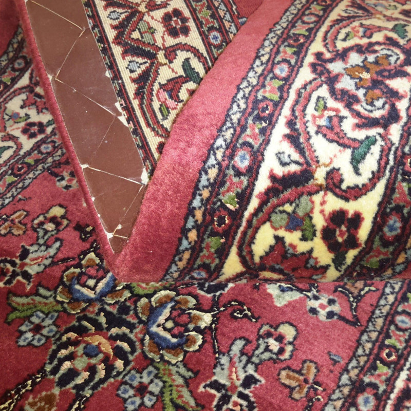 Oxana Oriental Area Rug in Red