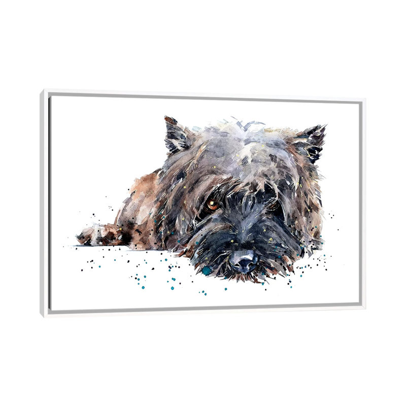 «Cairn Terrier II» par EdsWatercolours - impression, Toile blanche encadrée, Pas de tapis, H 18 po x l 26 po x P 1,5 po