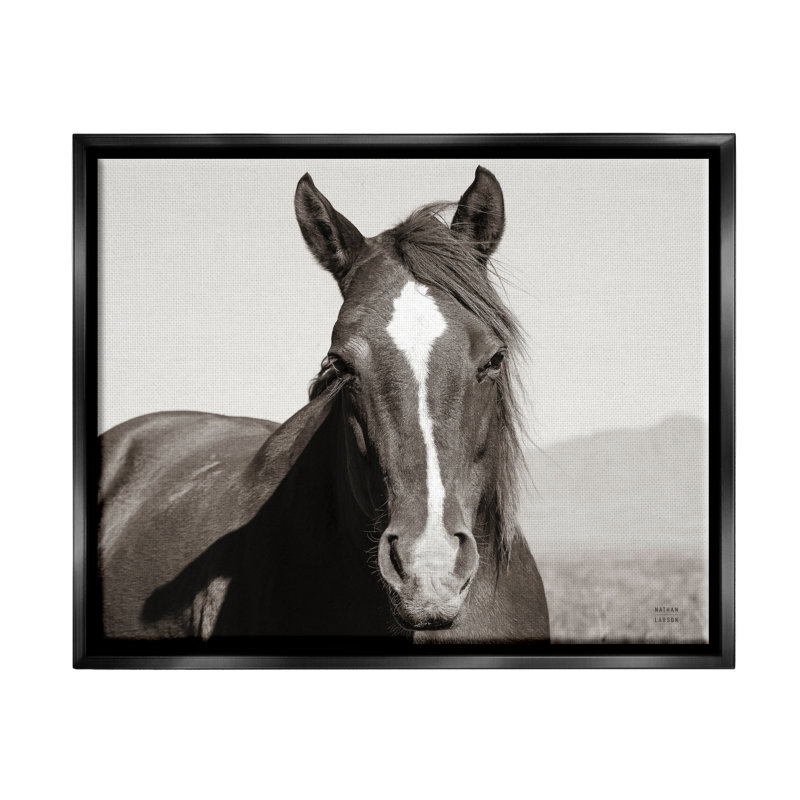 «Millwood Pines Windblown Stallion Portrait», art mural encadré par Nathan Larson, Cadre flottant noir de jais