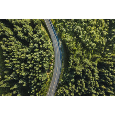 Road In The Forest by Anyaberkut - Wrapped Canvas Print