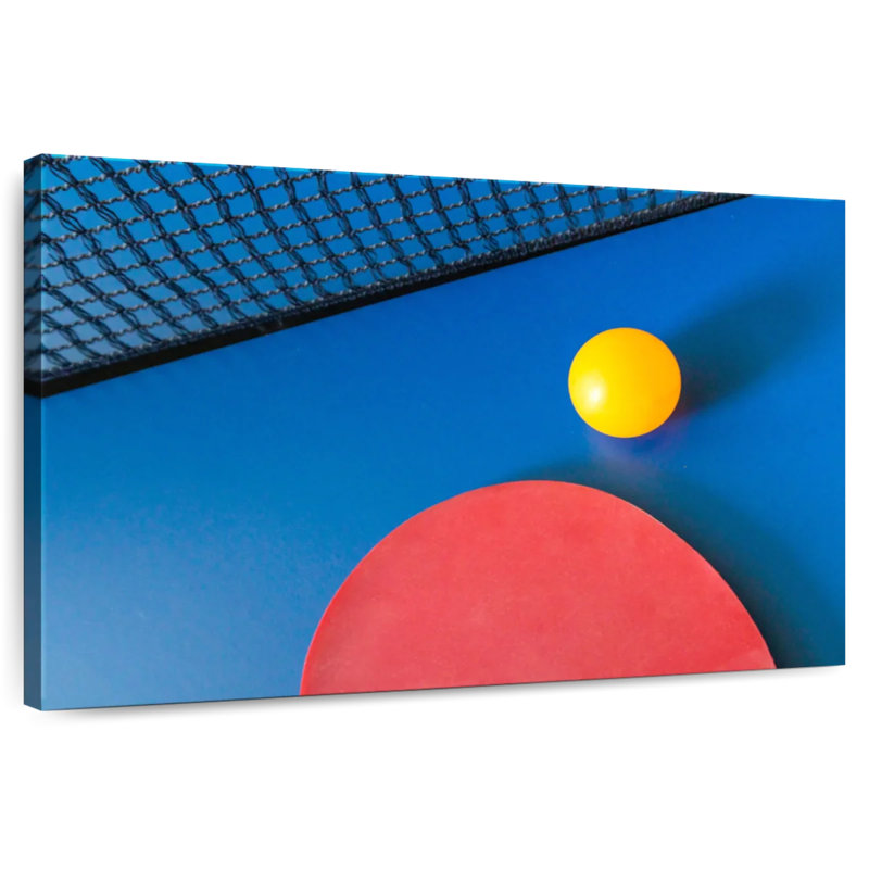 Équipement de tennis de table Sireci, H 32 po x l 48 po