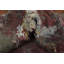 Tapis abstrait moderne fait à la main 5 x 8 po