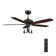 Huntley 52-inch Ceiling Fan with Remote, Light Kit Included