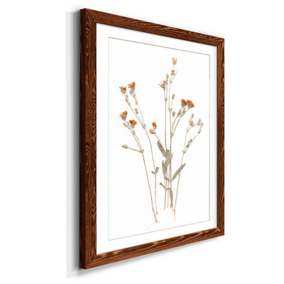 " Pressed Botanical I "