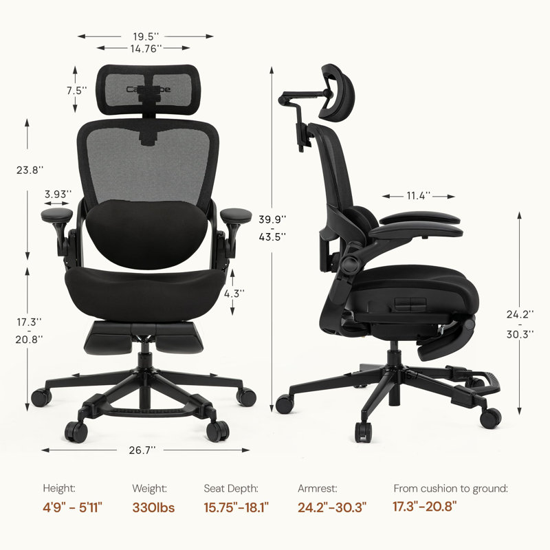 Cablady S2 Ergonomic Office Chair in Black, Black