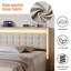 Platform Bed With Drawers Bed-135279689-135279691