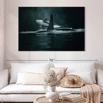Brampt Swimming Orca Whales
