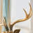 Chafdar Flush Mounted Sconce