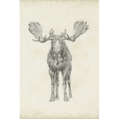 Moose Study