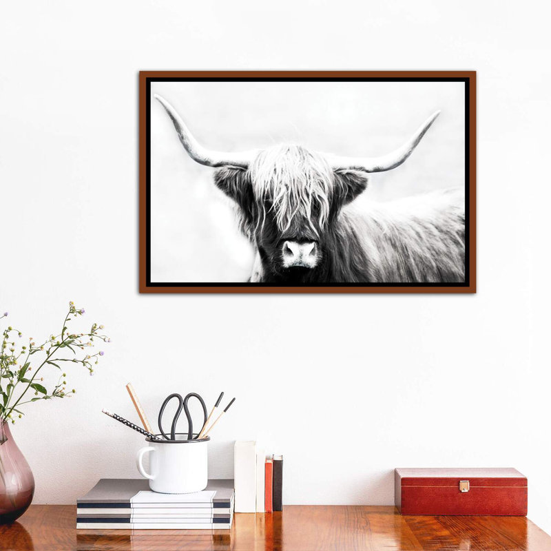 «Highland Longhorn», reproduction de photo encadrée, H 26 po x l 40 po x 1,5 po, Cadre bois classique
