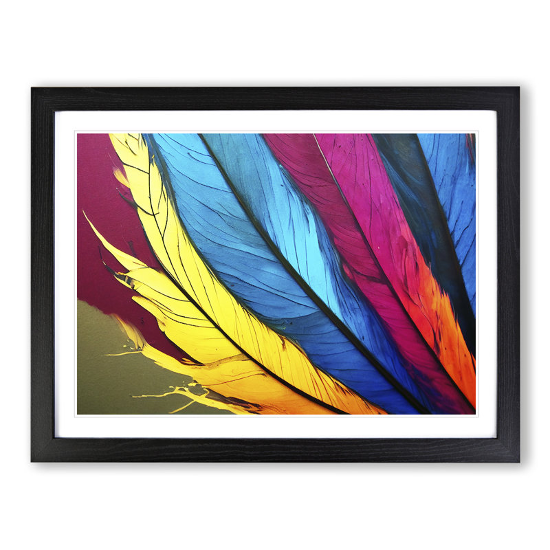 Colourful Bird Feathers Vol.6 - Framed Print, 34cm H x 46cm W x 2cm D, Black