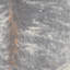 Tapis gris Lilianna