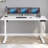 Fanchon Electric Height Adjustable Standing Desk-1331830642-1314955138