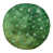 Jaune / vert