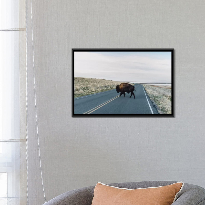 « buffalo bison » par chelsea victoria-impression, H 18 po x l 26 po x P 1,5 po, Toile avec cadre noir